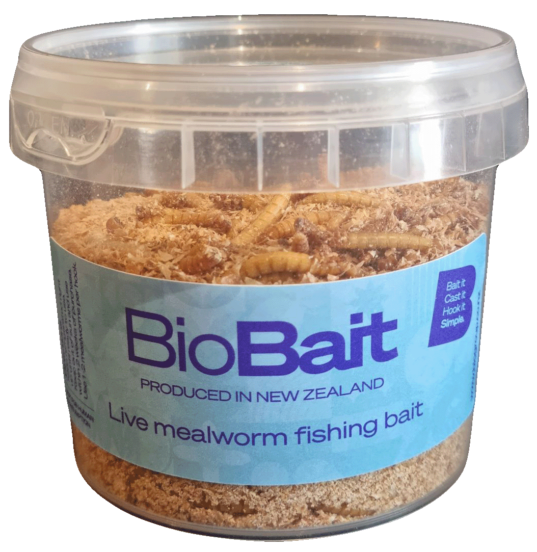 BioBait - Sustainable Live Mealworm Fishing Bait – biogroup