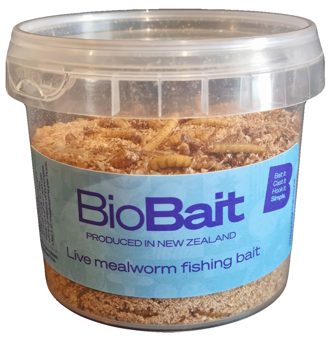 BioBait - Sustainable Live Mealworm Fishing Bait