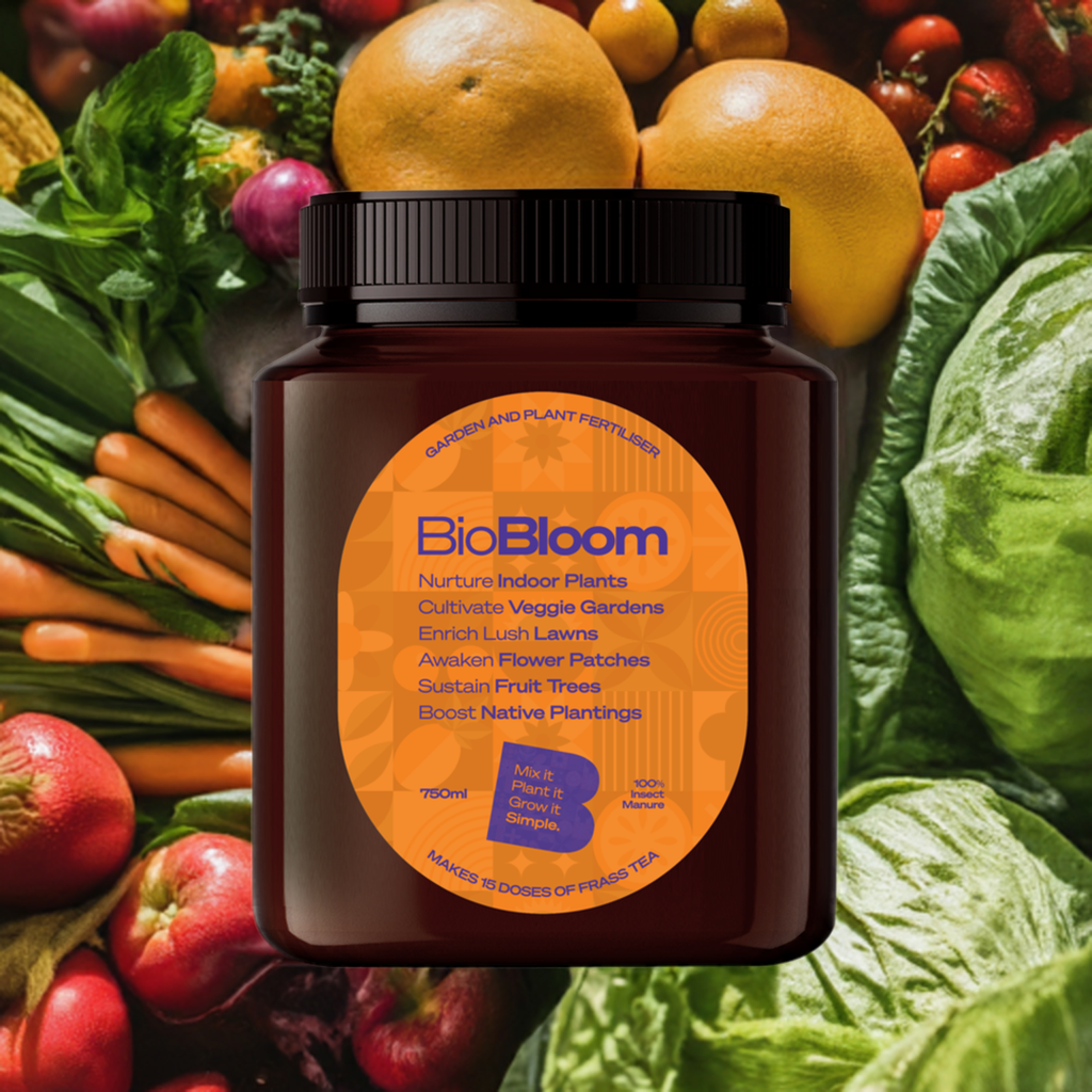 BioBloom - Sustainable Garden and Plant Fertiliser